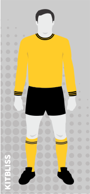 Hull City 1965-68 home