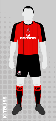 AFC Bournemouth 2010-11 home