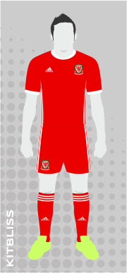 Wales 2017-18 home